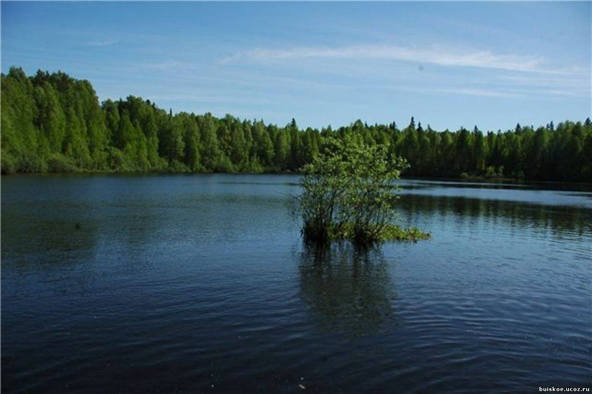 Озеро шайтан кировской. Озеро шайтан Кировской области. Озеро шайтан Кировской области плавающие острова. Озеро шайтан Уржумский район. Озеро шайтан Кировской области дрейфующие острова.